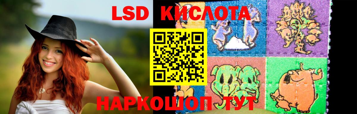 Елизово  Лсд 25 экстази кислота  mega ССЫЛКА  Вход с VPN  Лсд 25 экстази кислота  LSD-25 экстази 