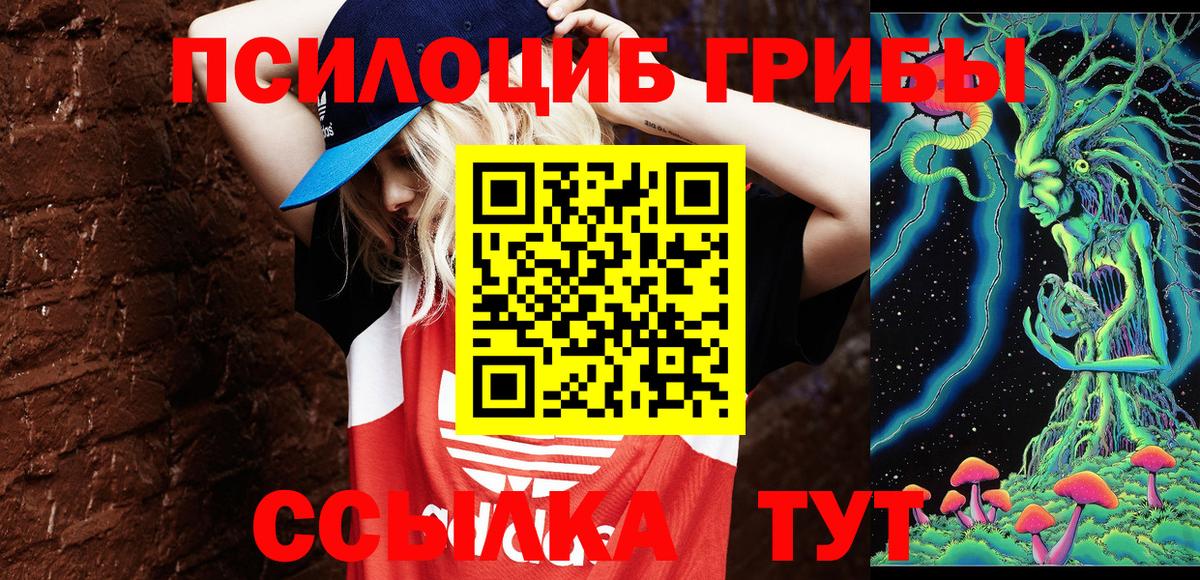 Псилоцибиновые грибы мухоморы Елизово