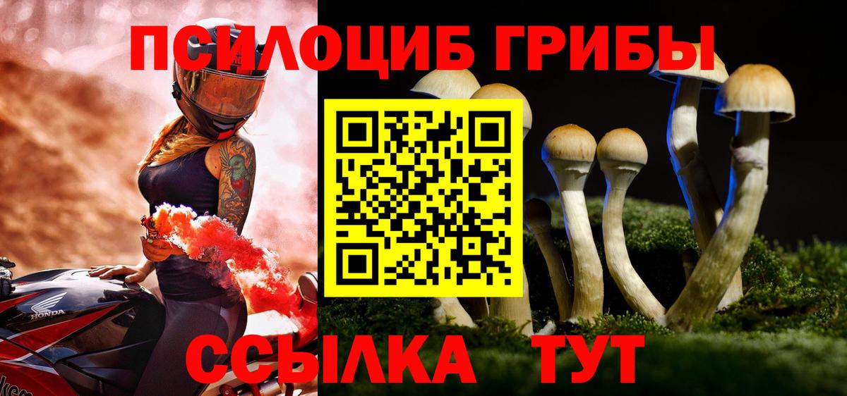 Галлюциногенные грибы Psilocybine cubensis  Вход с VPN  Елизово 